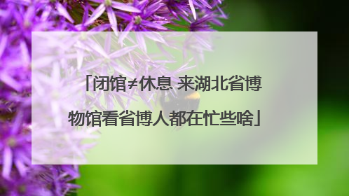 闭馆≠休息 来湖北省博物馆看省博人都在忙些啥