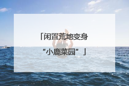 闲置荒地变身“小鹿菜园”