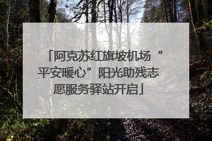 阿克苏红旗坡机场“平安暖心”阳光助残志愿服务驿站开启