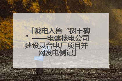 陇电入鲁“树丰碑”——电建核电公司建设灵台电厂项目并网发电侧记