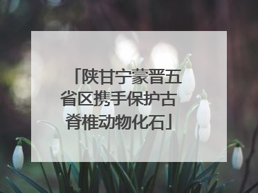 陕甘宁蒙晋五省区携手保护古脊椎动物化石