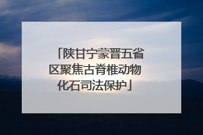 陕甘宁蒙晋五省区聚焦古脊椎动物化石司法保护