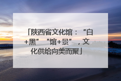 陕西省文化馆：“白+黑”“馆+景”，文化供给向美而聚