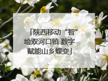 陕西移动“智”绘双河口镇 数字赋能山乡蝶变