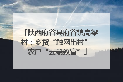 陕西府谷县府谷镇高梁村：乡货“触网出村” 农户“云端致富”