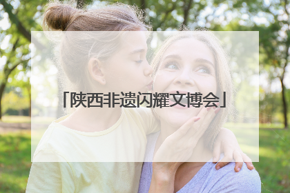 陕西非遗闪耀文博会
