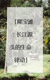 隆宝滩：长江源头的生命律动