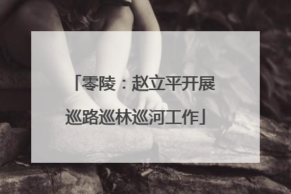 零陵：赵立平开展巡路巡林巡河工作