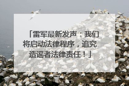 雷军最新发声：我们将启动法律程序，追究造谣者法律责任！