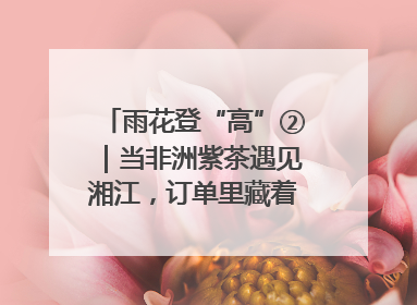 雨花登“高”②｜当非洲紫茶遇见湘江，订单里藏着共富密码