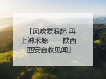 风吹麦浪起 再上神禾塬——陕西西安夏收见闻