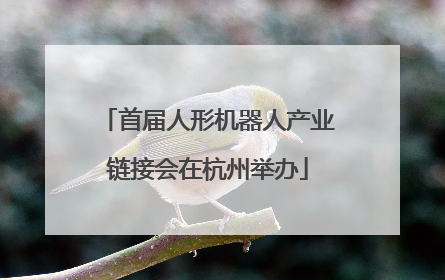 首届人形机器人产业链接会在杭州举办