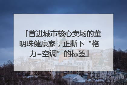 首进城市核心卖场的董明珠健康家，正撕下“格力=空调”的标签