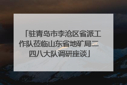 驻青岛市李沧区省派工作队莅临山东省地矿局二四八大队调研座谈
