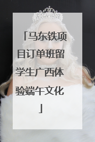 马东铁项目订单班留学生广西体验端午文化
