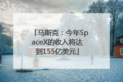 马斯克：今年SpaceX的收入将达到155亿美元