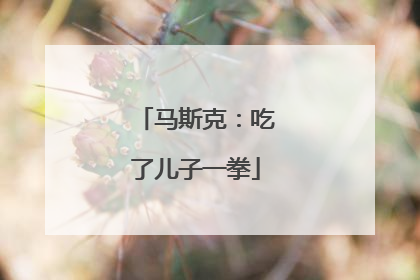 马斯克：吃了儿子一拳