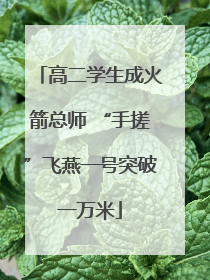 高二学生成火箭总师 “手搓”飞燕一号突破一万米