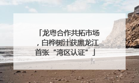 龙粤合作共拓市场，白桦树汁获黑龙江首张“湾区认证”
