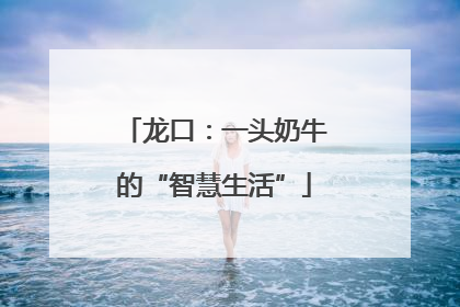 龙口：一头奶牛的“智慧生活”