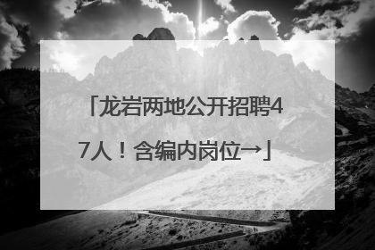 龙岩两地公开招聘47人！含编内岗位→
