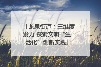 龙泉街道：三维度发力 探索文明“生活化”创新实践