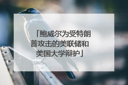 鲍威尔为受特朗普攻击的美联储和美国大学辩护