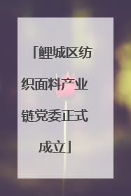 鲤城区纺织面料产业链党委正式成立