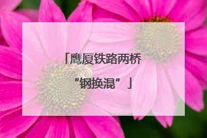 鹰厦铁路两桥“钢换混”