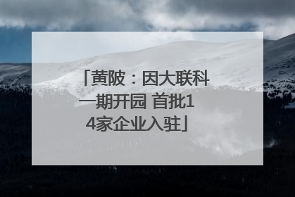 黄陂：因大联科一期开园 首批14家企业入驻