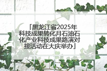 黑龙江省2025年科技成果转化月石油石化产业科技成果路演对接活动在大庆举办
