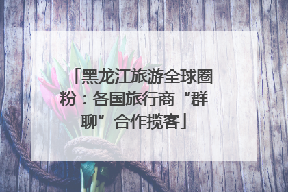 黑龙江旅游全球圈粉：各国旅行商“群聊”合作揽客