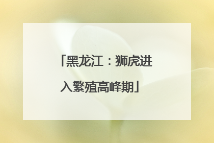 黑龙江：狮虎进入繁殖高峰期