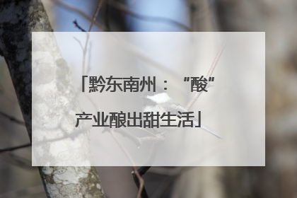 黔东南州：“酸”产业酿出甜生活