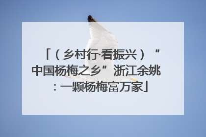 （乡村行·看振兴）“中国杨梅之乡”浙江余姚：一颗杨梅富万家