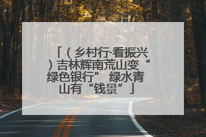 （乡村行·看振兴）吉林辉南荒山变“绿色银行” 绿水青山有“钱景”