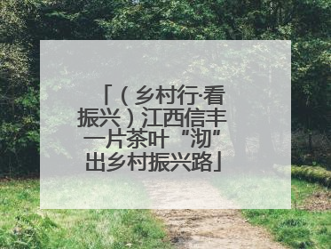 （乡村行·看振兴）江西信丰一片茶叶“沏”出乡村振兴路