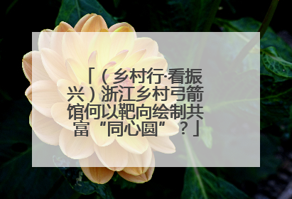 （乡村行·看振兴）浙江乡村弓箭馆何以靶向绘制共富“同心圆”？