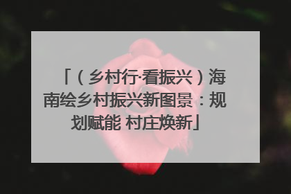 （乡村行·看振兴）海南绘乡村振兴新图景：规划赋能 村庄焕新