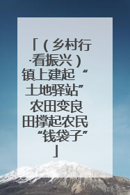 （乡村行·看振兴）镇上建起“土地驿站” 农田变良田撑起农民“钱袋子”