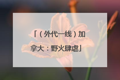 （外代一线）加拿大：野火肆虐
