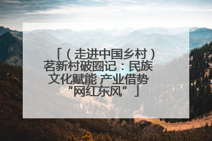 （走进中国乡村）茗新村破圈记：民族文化赋能 产业借势 “网红东风”