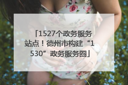 1527个政务服务站点！德州市构建“1530”政务服务圈