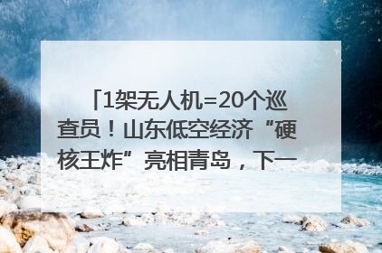 1架无人机=20个巡查员！山东低空经济“硬核王炸”亮相青岛，下一个万亿赛道藏在这里