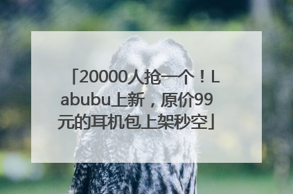 20000人抢一个！Labubu上新，原价99元的耳机包上架秒空