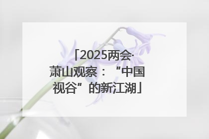 2025两会·萧山观察：“中国视谷”的新江湖