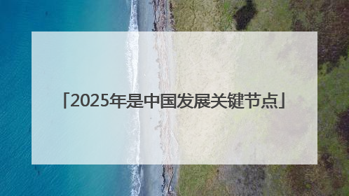 2025年是中国发展关键节点