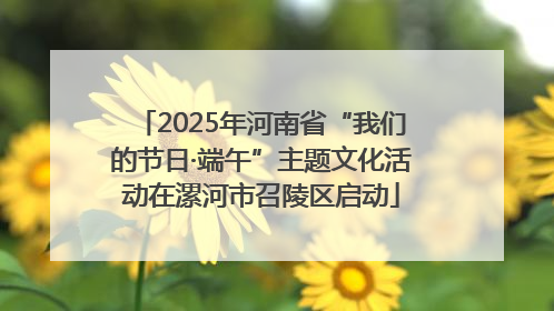2025年河南省“我们的节日·端午”主题文化活动在漯河市召陵区启动