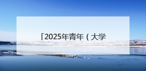 2025年青年（大学生）“青耘八桂·百色芒果”营销大赛开幕