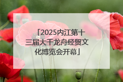 2025内江第十三届大千龙舟经贸文化博览会开幕